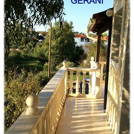 Gerani *