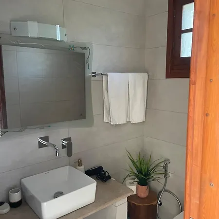 Gerani * Василикос