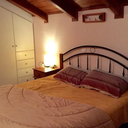 Gerani * Василикос